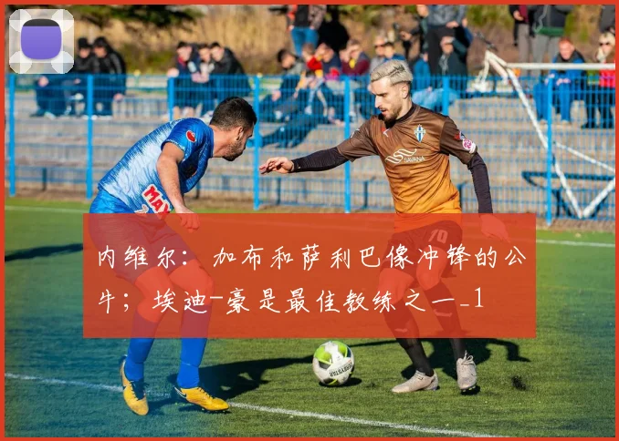 内维尔：加布和萨利巴像冲锋的公牛；埃迪-豪是最佳教练之一_1